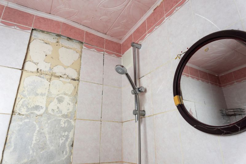 Leaking Shower Fix